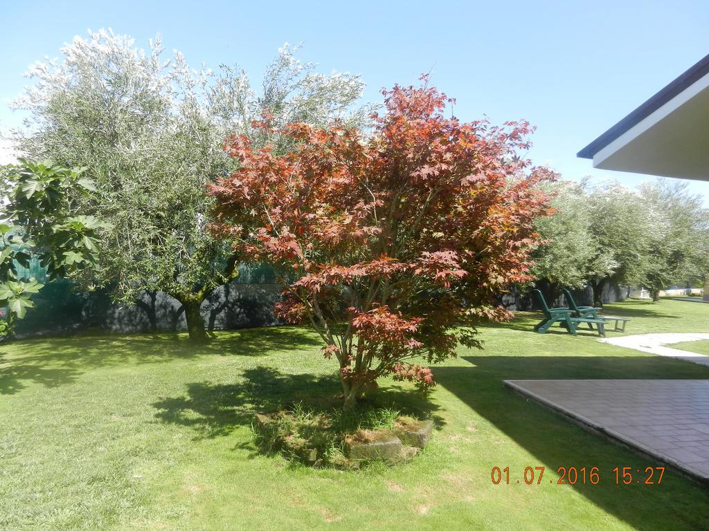 Le Terre Di Bac Borgo Montenero Exterior foto